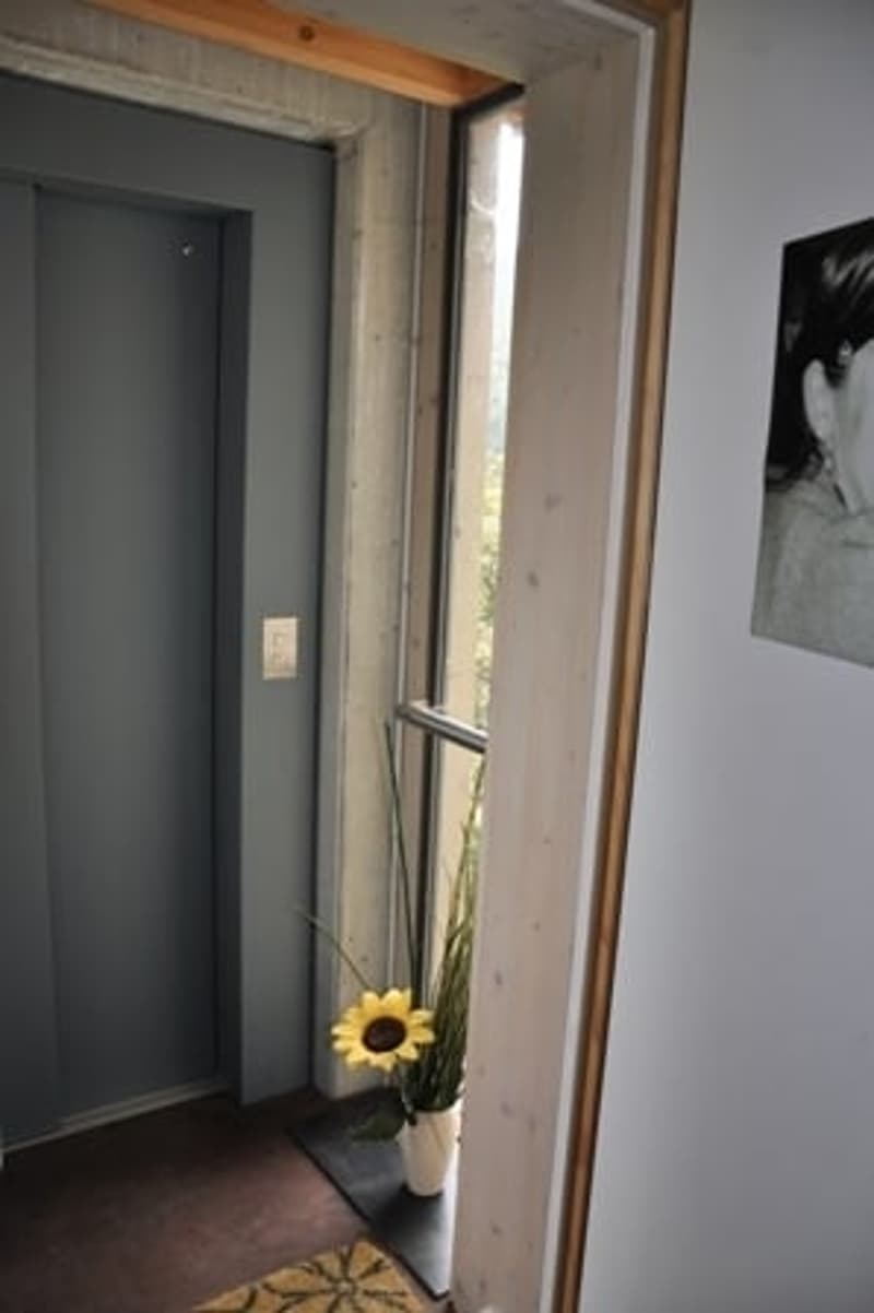 elevator, gray door, small window, sunflower in a vase, wall picture, rug