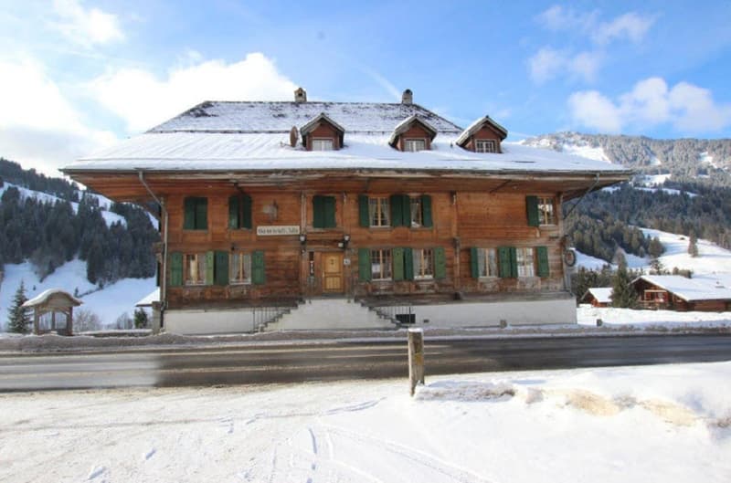 Wohn- & Geschäftshaus mit Bauparzelle 4 Wohnungen / Gewerberäume (2)