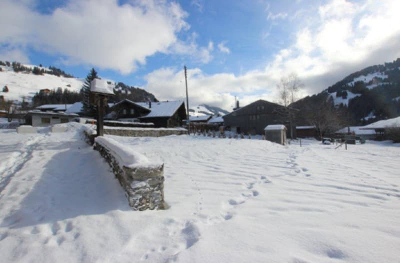Wohn- & Geschäftshaus mit Bauparzelle 4 Wohnungen / Gewerberäume (5)