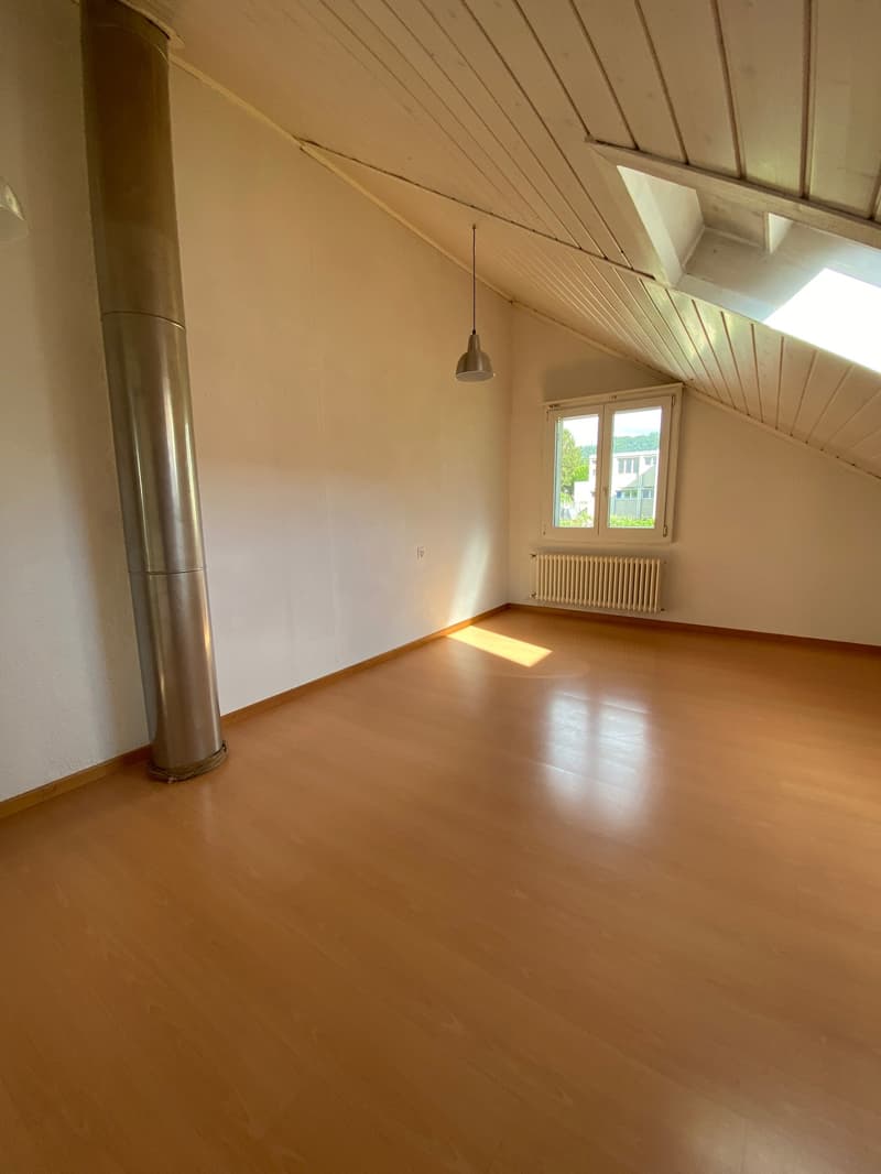 aussergewöhnliches 4½-Zimmer Einfamilienhaus (9)