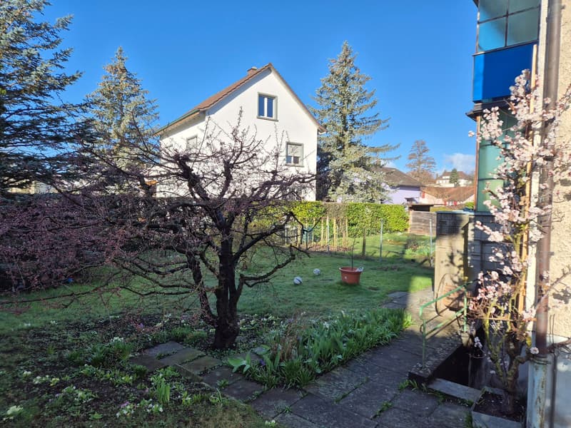 Schöne 3-Zimmer-Parterrewohnung in Biberist (2)