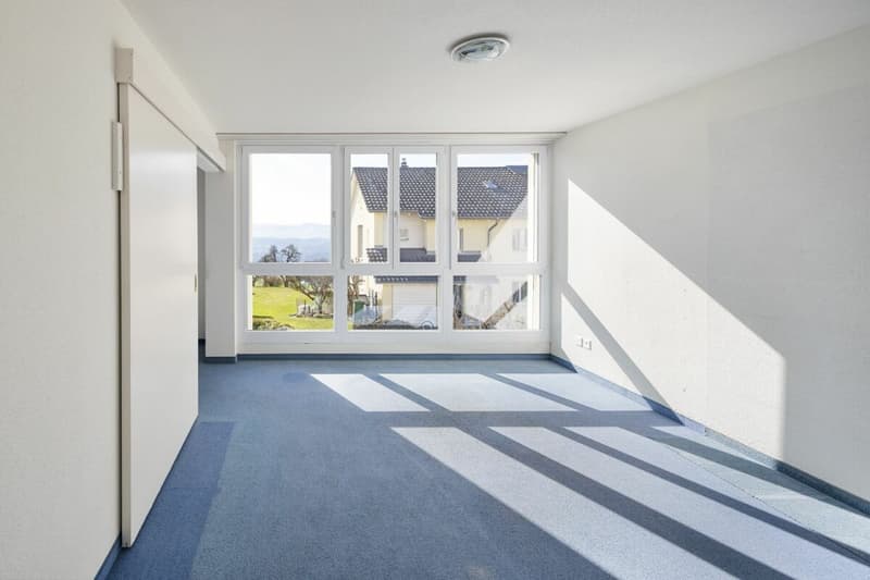 4.5-Zimmer-Maisonette-Wohnung mit Alpensicht und separatem Büro-/Hobbyraum (2)