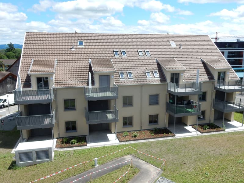 Attraktive Dachwohnung mit hochwertigem und modernem Innenausbau (1)