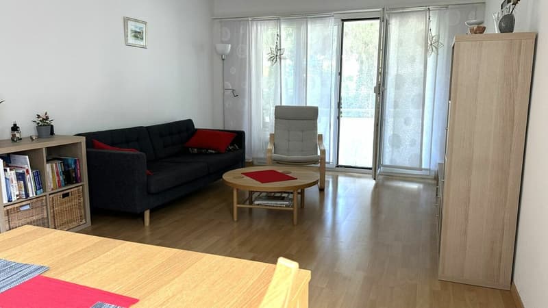 Attraktive 4-Zimmer Wohnung an zentraler Lage in Pfäffikon (4)