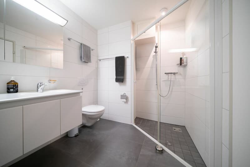 Grosszügige Minergie-Wohnung mit 31 m² Terrassenfläche nahe Zürich (6)