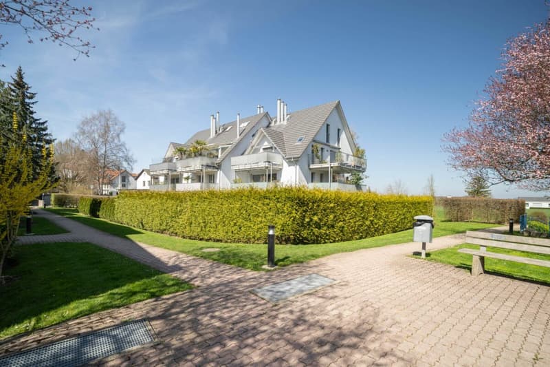 116 m² Wohnkomfort in Binz - Minergie-Wohnung mit 2 Sonnenterrassen (1)