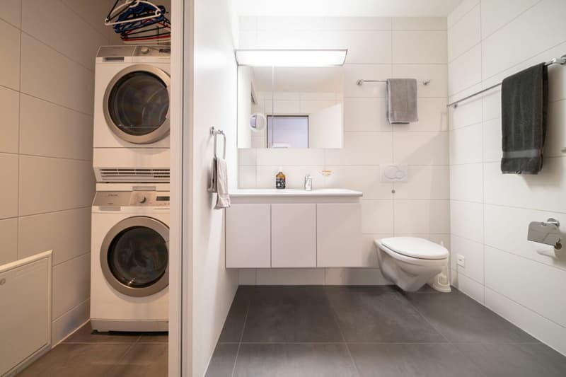 Raum für hohe Ansprüche - 3½ Zimmer, 116 m² Wohnfläche und zwei Sonnenterrassen (7)