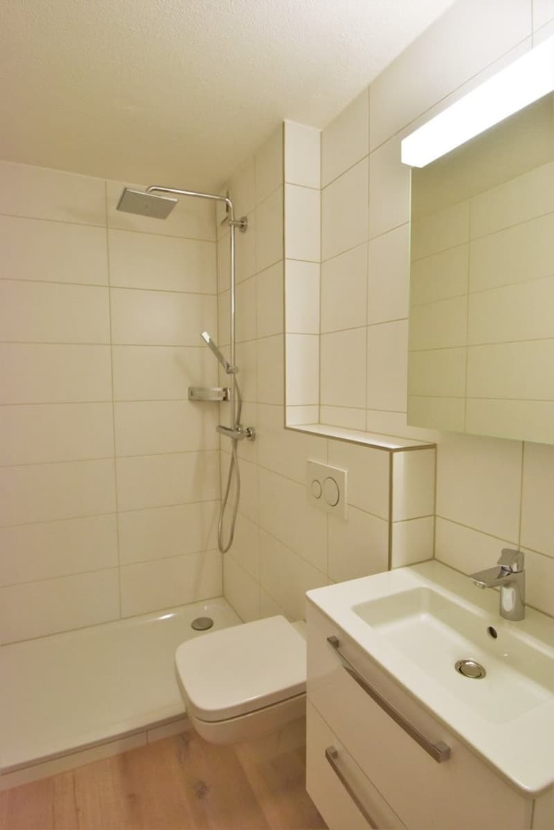 Dusche / WC (Vergleichsobjekt)