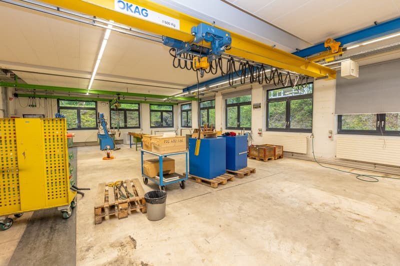 Grosszügige Gewerbefläche an zentraler Lage (zusammenhängend bis ca. 1'500m2) (3)