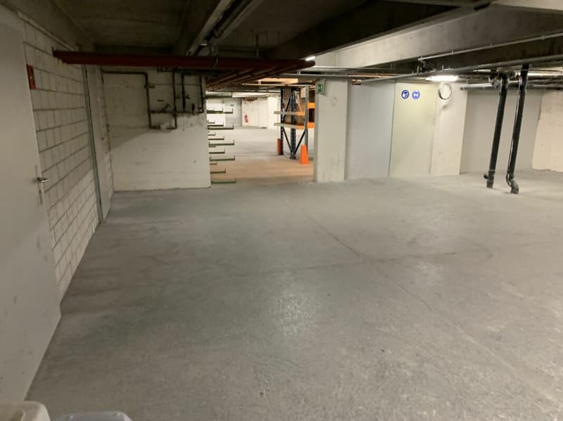 Lager- und Logistikfläche mit Hallenkran und Warenannahme in Villmergen (4)