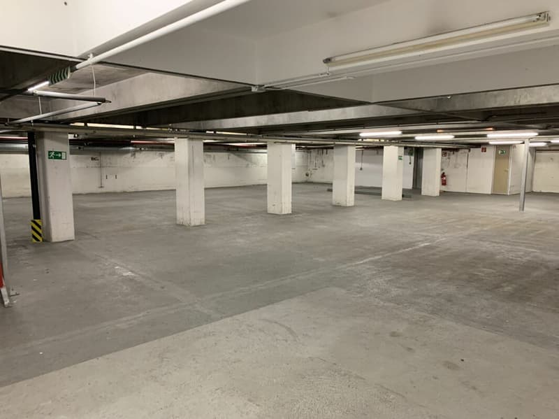 Lager- und Logistikfläche mit Hallenkran und Warenannahme in Villmergen (14)