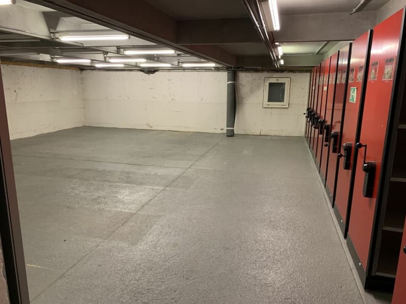 Lager- und Logistikfläche mit Hallenkran und Warenannahme in Villmergen (17)