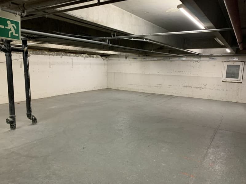 Lager- und Logistikfläche mit Hallenkran und Warenannahme in Villmergen (6)