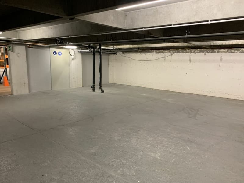 Lager- und Logistikfläche mit Hallenkran und Warenannahme in Villmergen (3)