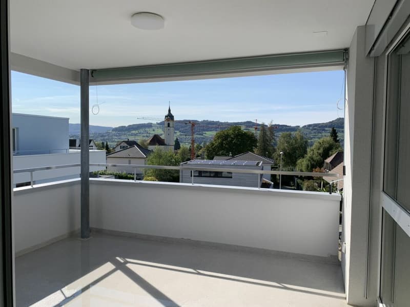 3.5 ZIMMERWOHNUNG (10)