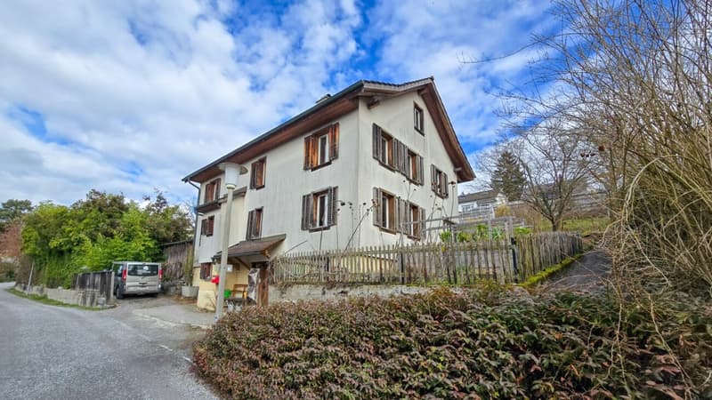 Einfamilienhaus mit Entwicklungspotenzial (4)