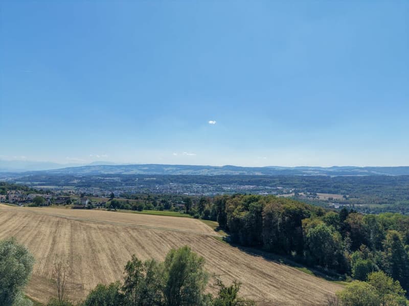 4.5 Zimmer-Einfamilienhaus mit Weitblick und Scheune (16)