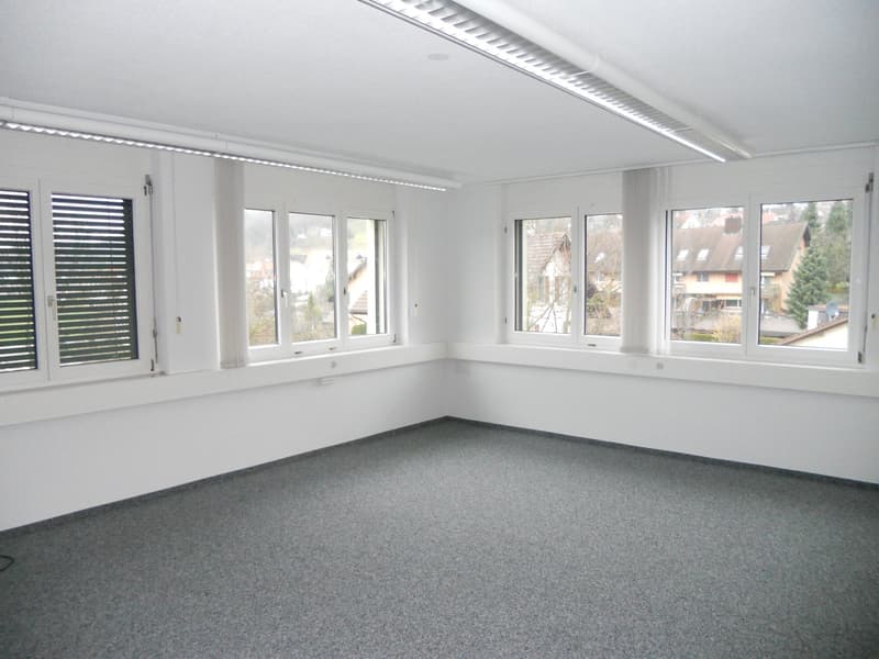 Spacious room with windows, white walls, gray floor, and two rows of ceiling lights.