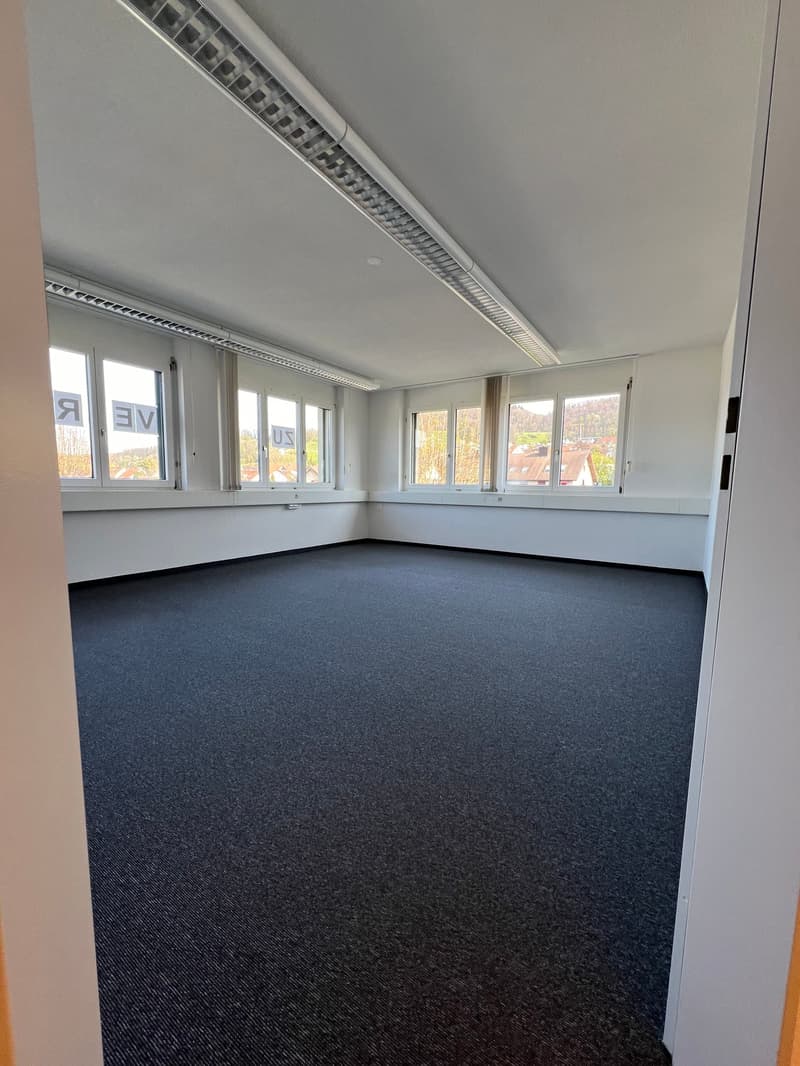 Large open office space with gray walls, large windows, and a dark gray carpeted floor.