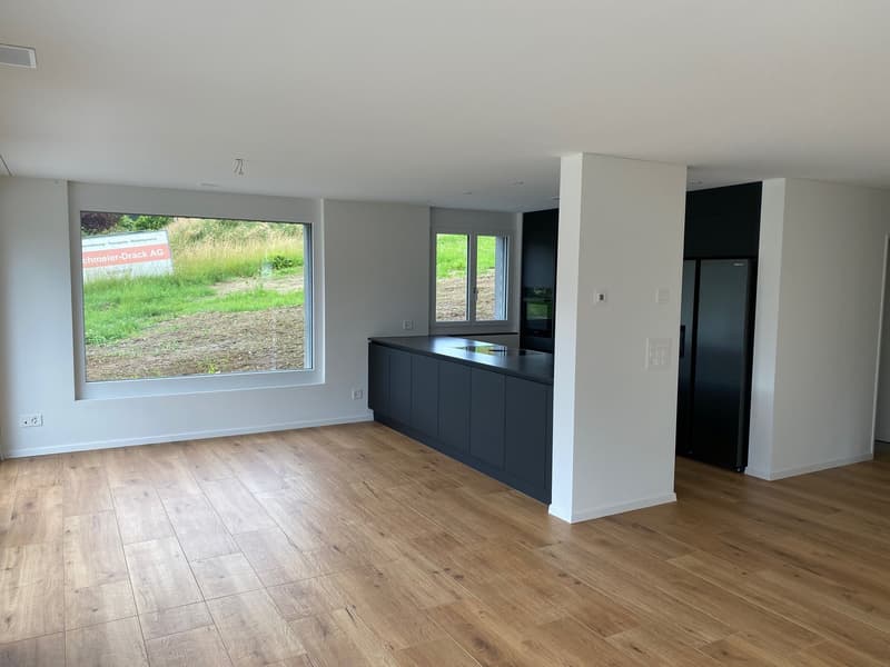 Spacious open-plan living area with large windows overlooking a grassy outdoor area, hardwood flooring, and a modern black kitchen unit with countertop