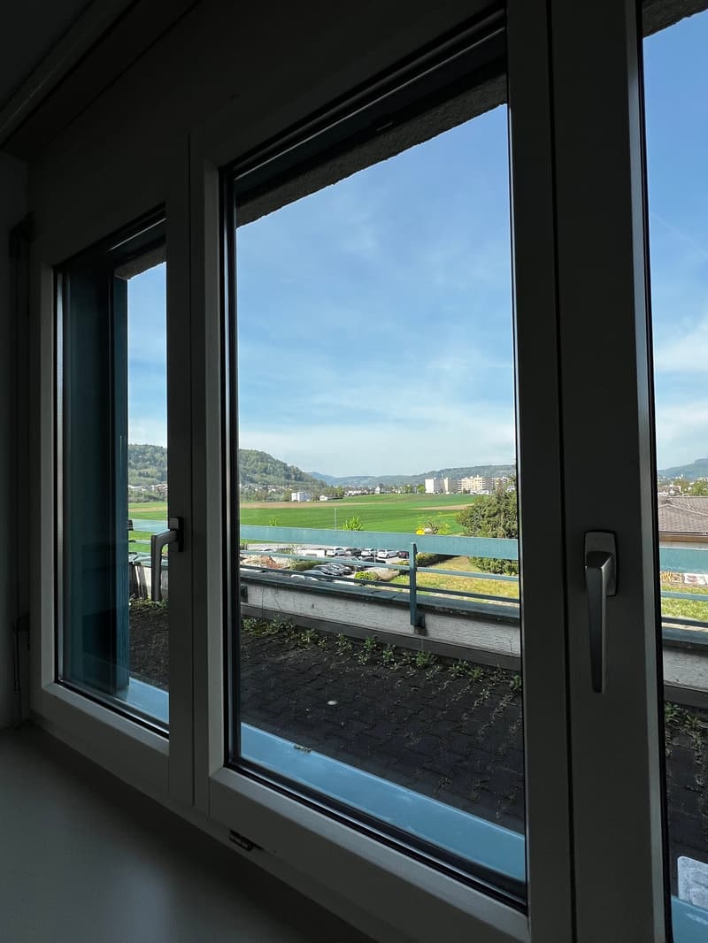 large windows, balcony, view of a field and mountains