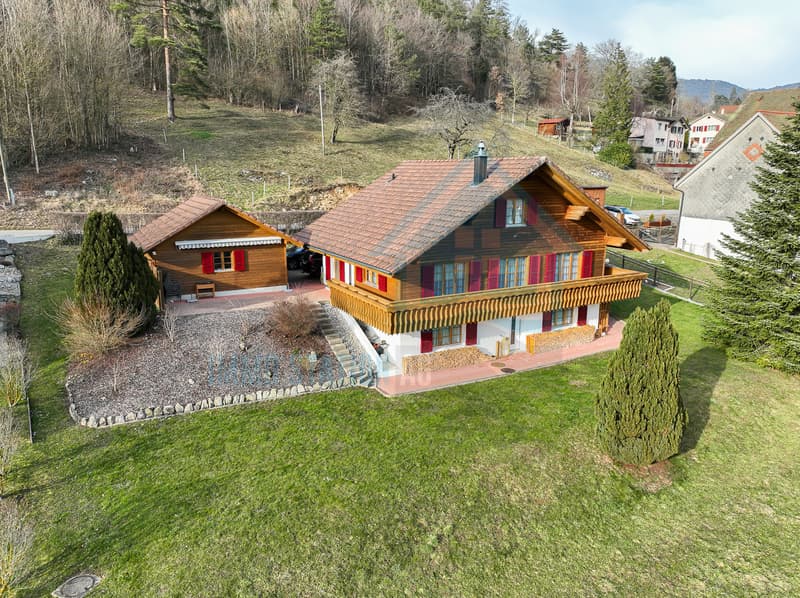 Rustikales 6.5 Zimmer Einfamilienhaus mit Panoramablick in Herbetswil (1)