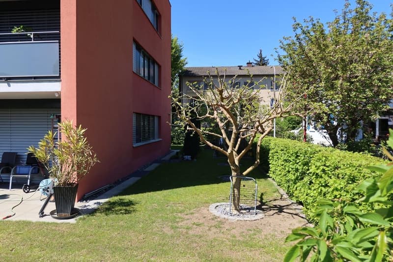 Grosszügige 4.5-Zimmer-Wohnung an beliebter Familienlage in Wettingen (13)
