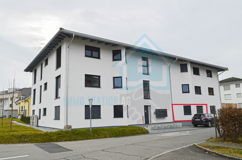 Modernes 1 Zimmerwohnung/Appartement/Studio in Gontenschwil AG (9)