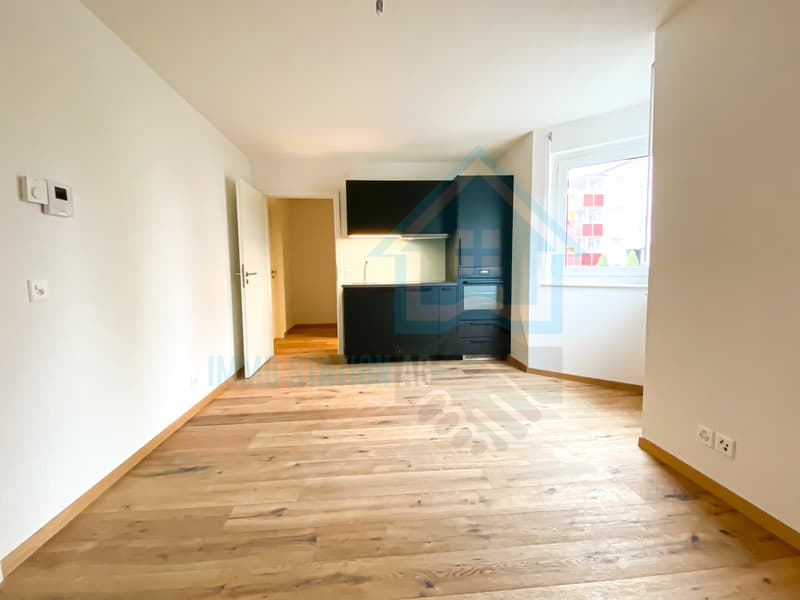 Modernes 1 Zimmerwohnung/Appartement/Studio in Gontenschwil AG (2)