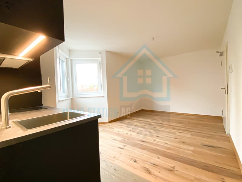 Modernes 1 Zimmerwohnung/Appartement/Studio in Gontenschwil AG (4)