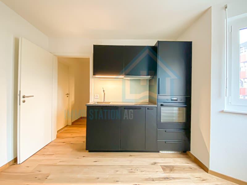 Modernes 1 Zimmerwohnung/Appartement/Studio in Gontenschwil AG (3)
