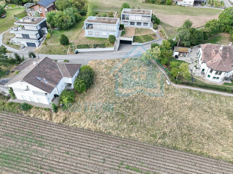 Exklusives Villengrundstück mit Panoramablick auf den Hallwilersee (2)