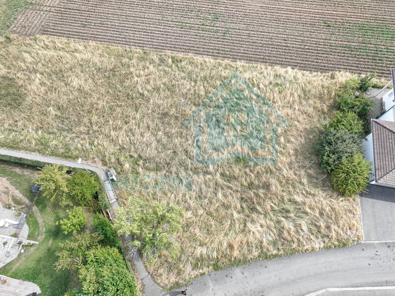Exklusives Villengrundstück mit Panoramablick auf den Hallwilersee (4)