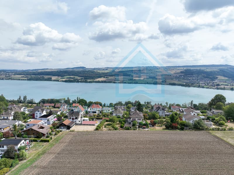 Exklusives Villengrundstück mit Panoramablick auf den Hallwilersee (5)