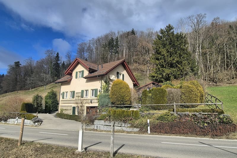 Freistehendes Einfamilienhaus mit traumhaftem Garten und viel Privatsphäre in Seenähe (4)