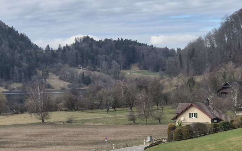 Freistehendes Einfamilienhaus mit traumhaftem Garten und viel Privatsphäre in Seenähe (2)