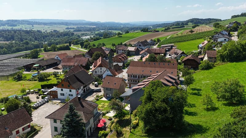 Attraktives 4.5-Zimmer-Reihenhaus in Niederneunforn (3)