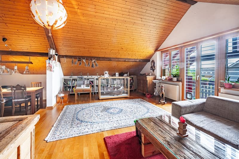Attraktives Dreifamilienhaus an zentraler Lage (8)