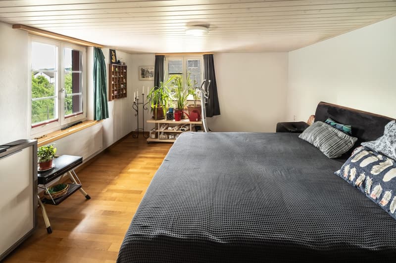 Attraktives Dreifamilienhaus an zentraler Lage (12)