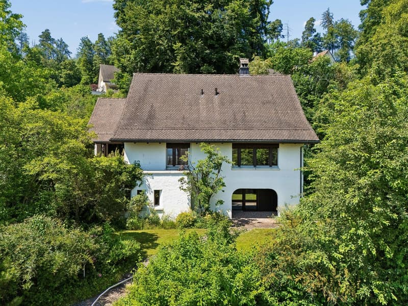 Einfamilienhaus am Waldrand – Grosszügig und charaktervoll (19)