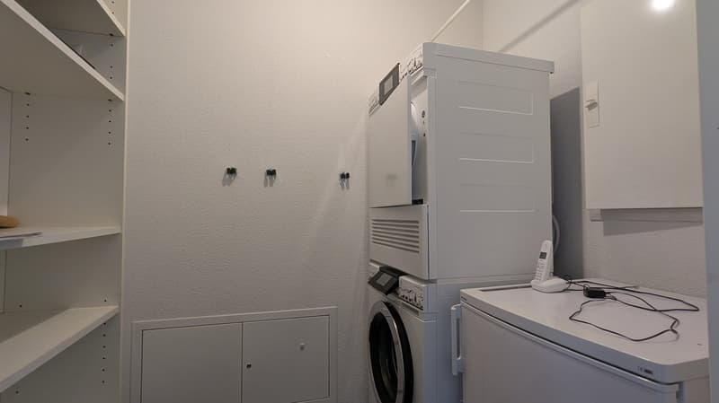 exklusive 4.5-Zimmer-Attikawohnung an ruhiger Lage (15)
