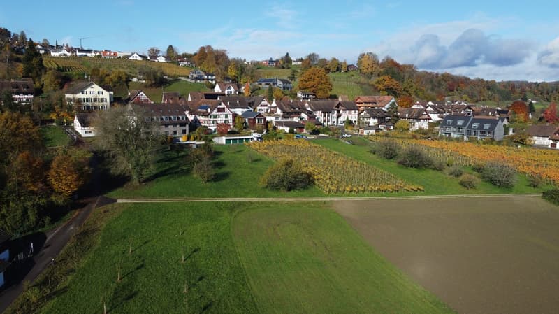 Charmante 4.5-Zimmer-Wohnung in Rüdlingen – ab sofort verfügbar (9)
