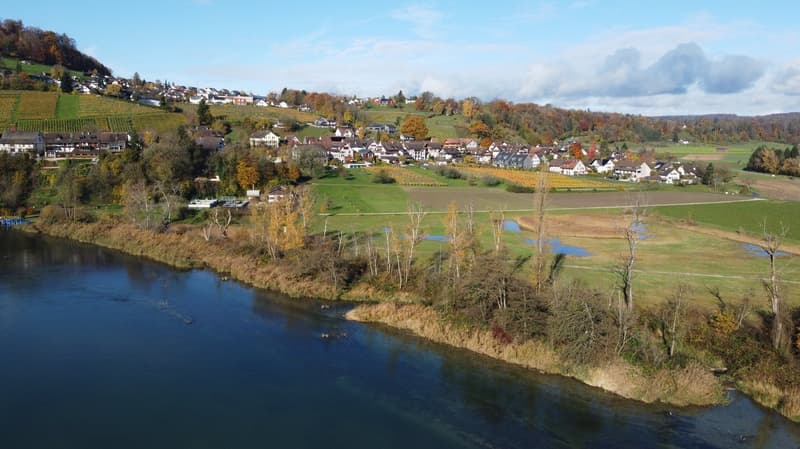 Charmante 4.5-Zimmer-Wohnung in Rüdlingen – ab sofort verfügbar (10)