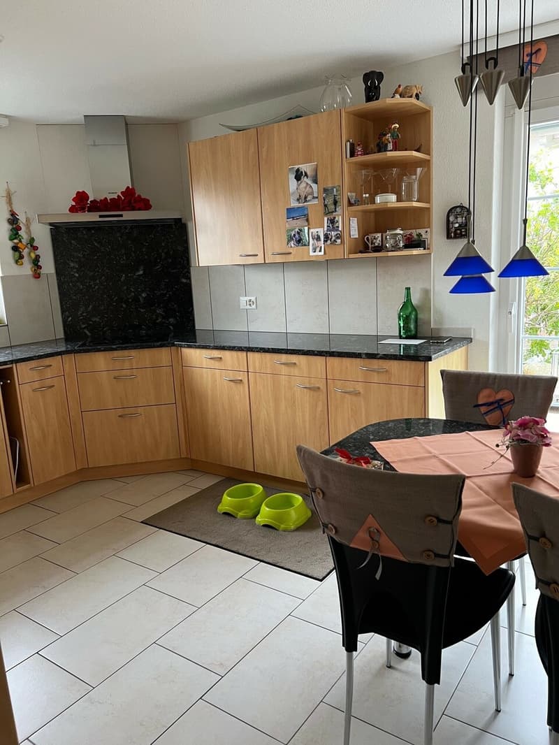 Zuhause ist dort, wo man sich wohl fühlt! 7½ Zi-EFH in Villmergen (5)