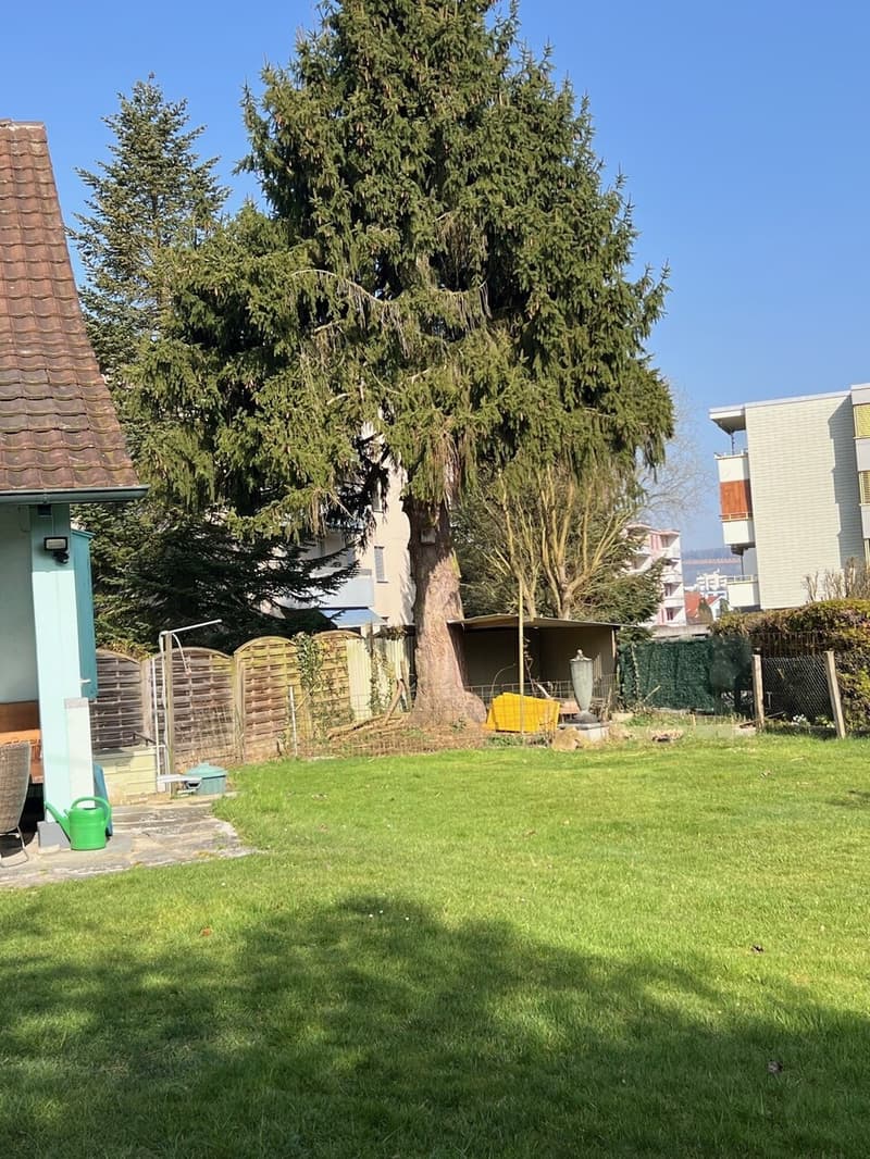 Grundstück mit Potenzial Totalsanierung oder Neubau (3)