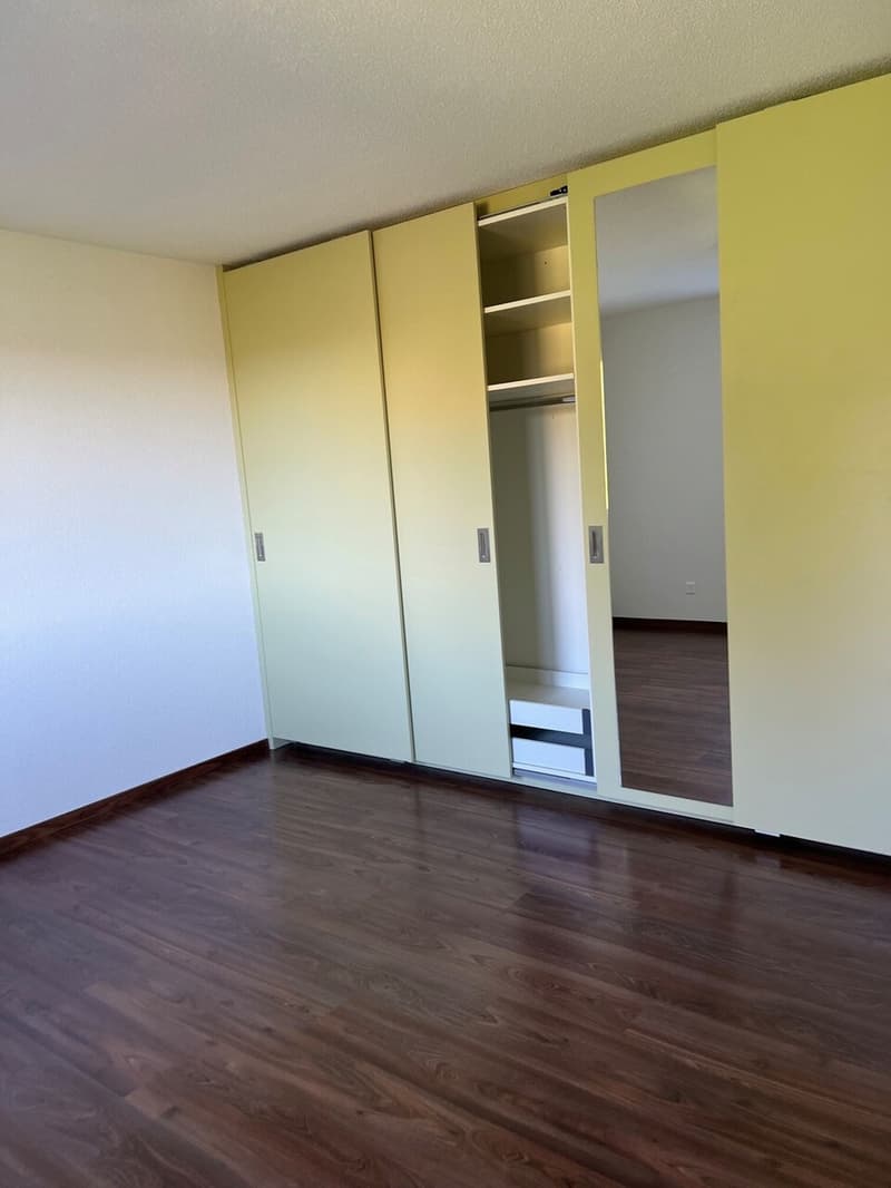 Auf der Sonnenseite des Hallwilersees 4 ½ Zimmer Wohnung in Tennwil (4)