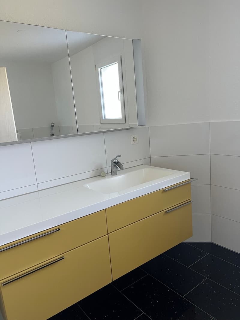 Auf der Sonnenseite des Hallwilersees 4 ½ Zimmer Wohnung in Tennwil (5)