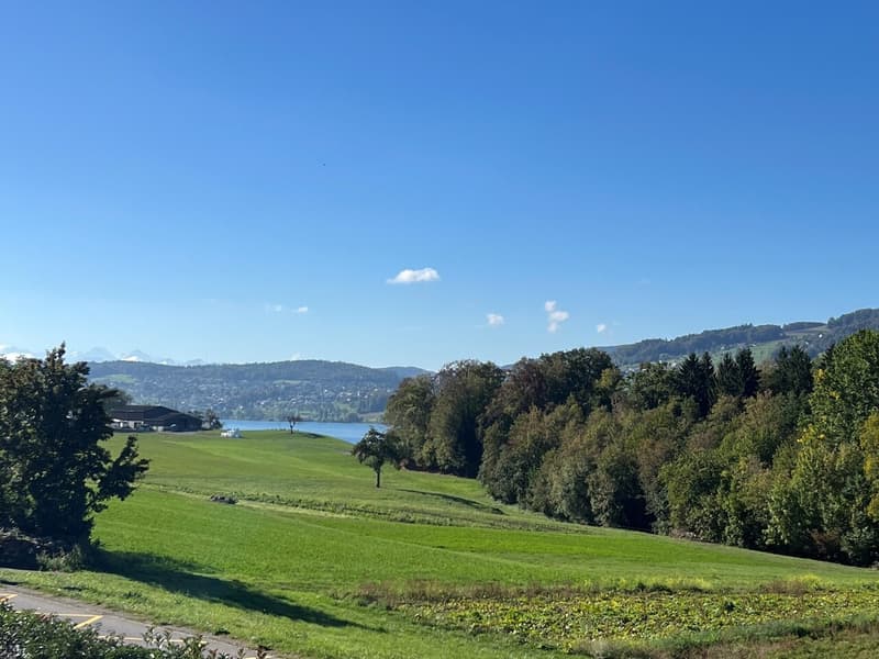 Auf der Sonnenseite des Hallwilersees 4 ½ Zimmer Wohnung in Tennwil (1)