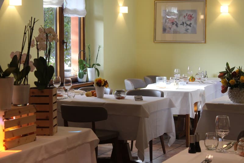 Hotel con 11 camere in vendita a Ponte Brolla (4)
