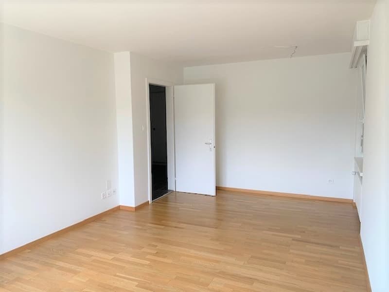 3.5 Zimmer-Wohnung im EG (3)